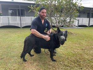 life as a security dog handler in qld