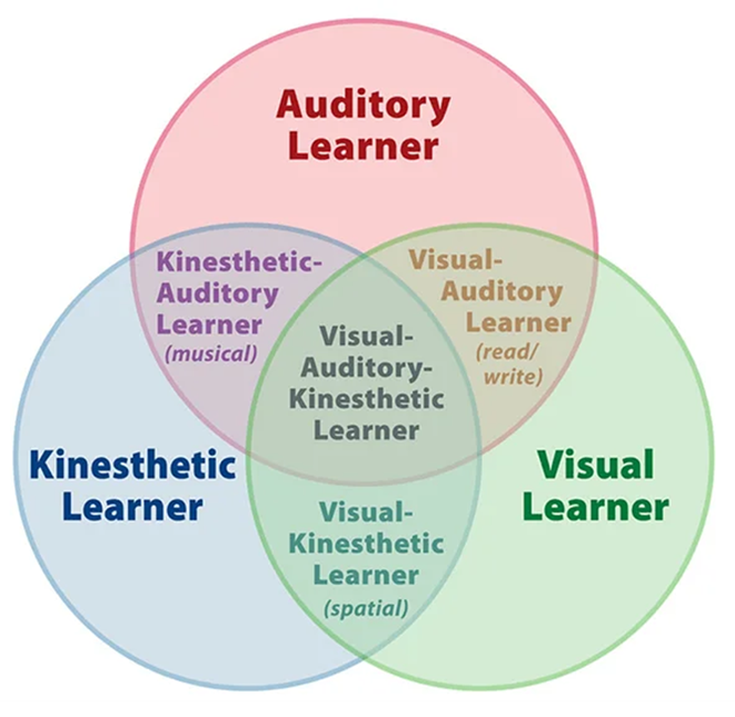 learner types